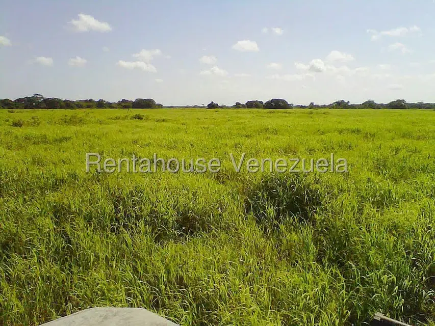 Terreno (Finca) en Venta en Arismendi, Barinas - 10
