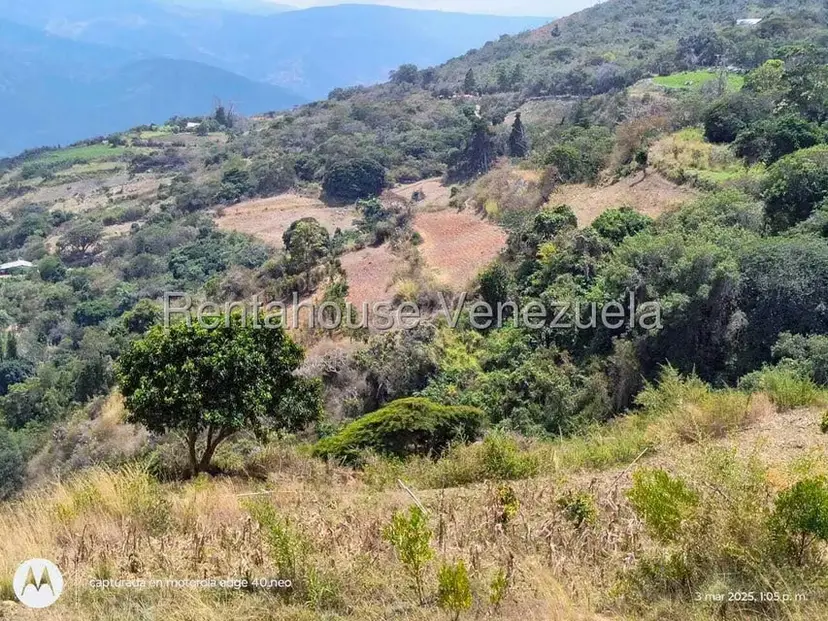 Comercial (Industrial) en Venta en Via Bocono, Trujillo