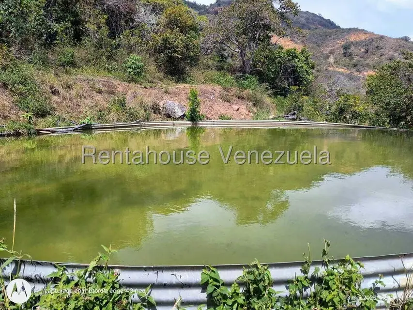 Comercial (Industrial) en Venta en Via Bocono, Trujillo - 12