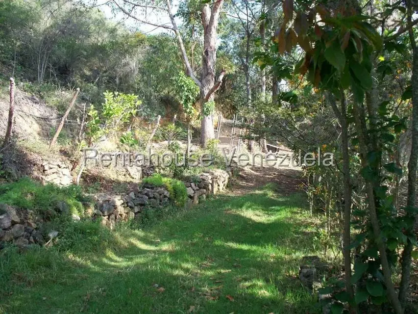 Comercial (Industrial) en Venta en Via Bocono, Trujillo - 128