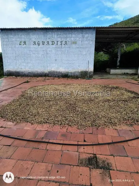 Comercial (Industrial) en Venta en Via Bocono, Trujillo - 135