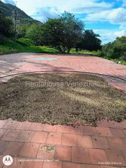 Vista 136
