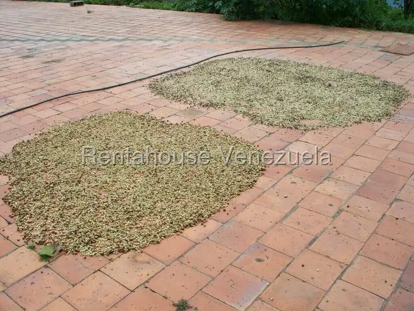 Comercial (Industrial) en Venta en Via Bocono, Trujillo - 20