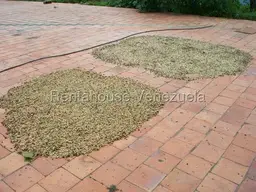 Vista 20
