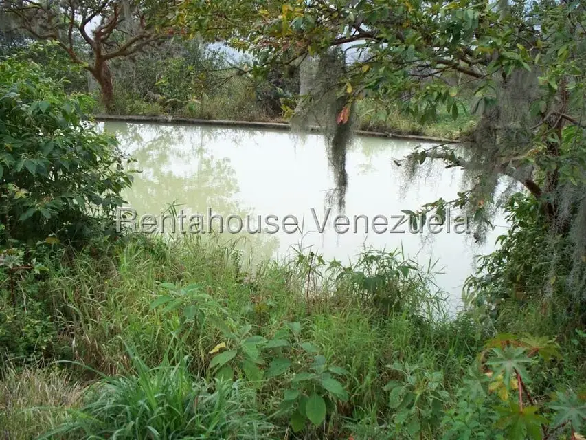 Comercial (Industrial) en Venta en Via Bocono, Trujillo - 29