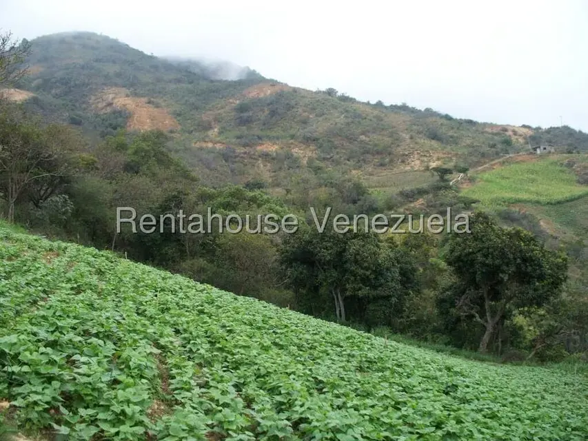 Comercial (Industrial) en Venta en Via Bocono, Trujillo - 32