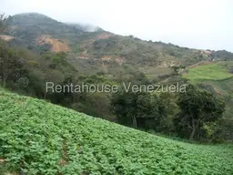 Vista 32