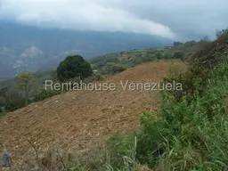 Vista 34