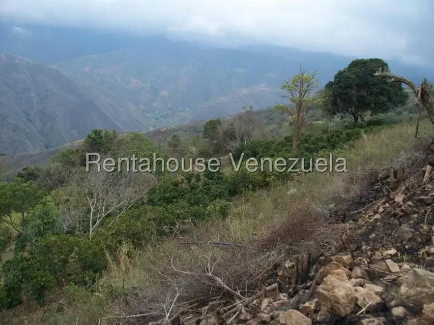Comercial (Industrial) en Venta en Via Bocono, Trujillo - 36