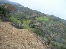 Vista 37