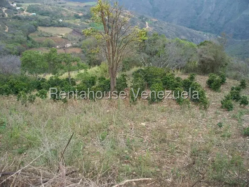 Comercial (Industrial) en Venta en Via Bocono, Trujillo - 38