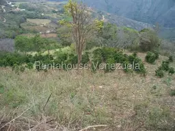 Vista 38