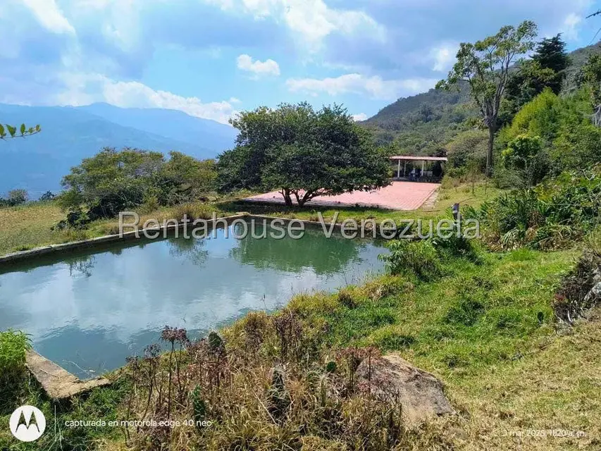 Comercial (Industrial) en Venta en Via Bocono, Trujillo - 4