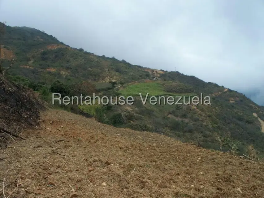 Comercial (Industrial) en Venta en Via Bocono, Trujillo - 41