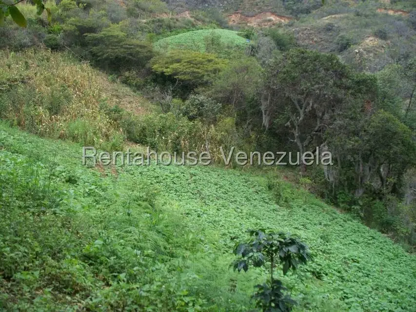 Comercial (Industrial) en Venta en Via Bocono, Trujillo - 45