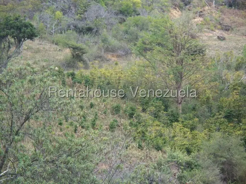 Comercial (Industrial) en Venta en Via Bocono, Trujillo - 47