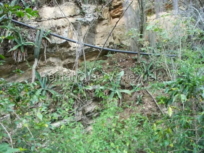 Comercial (Industrial) en Venta en Via Bocono, Trujillo - 51