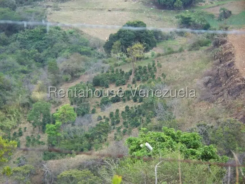 Comercial (Industrial) en Venta en Via Bocono, Trujillo - 57