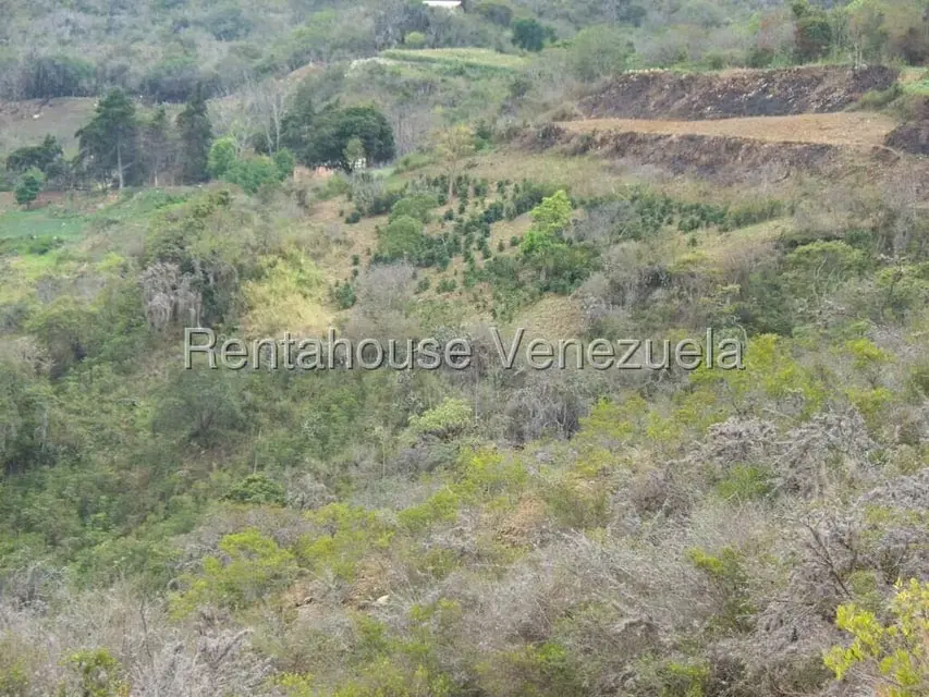 Comercial (Industrial) en Venta en Via Bocono, Trujillo - 58