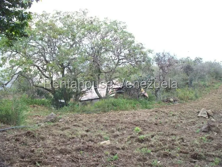 Comercial (Industrial) en Venta en Via Bocono, Trujillo - 67