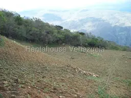 Vista 71