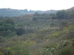 Vista 73