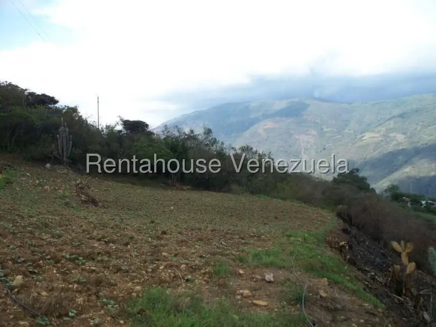 Comercial (Industrial) en Venta en Via Bocono, Trujillo - 75