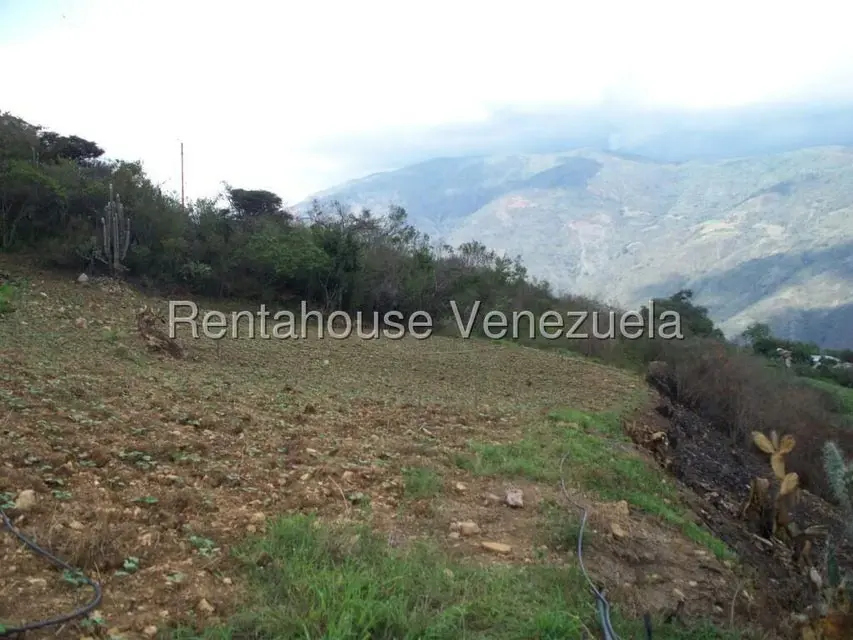 Comercial (Industrial) en Venta en Via Bocono, Trujillo - 76
