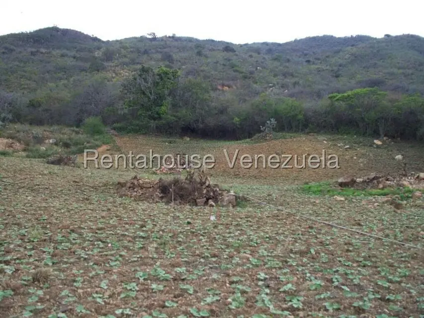 Comercial (Industrial) en Venta en Via Bocono, Trujillo - 78