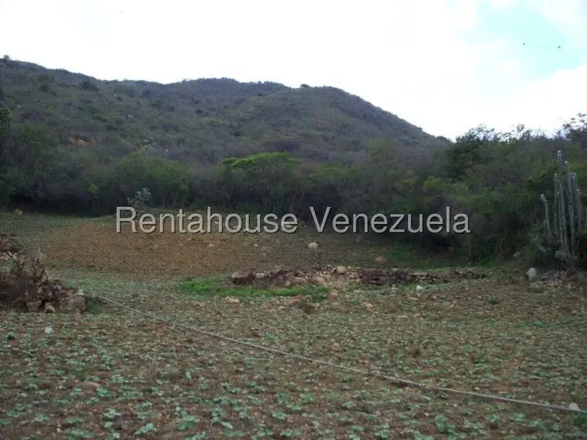 Comercial (Industrial) en Venta en Via Bocono, Trujillo - 79