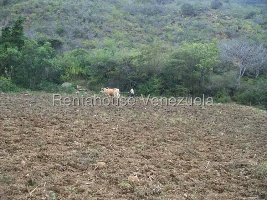Comercial (Industrial) en Venta en Via Bocono, Trujillo - 84