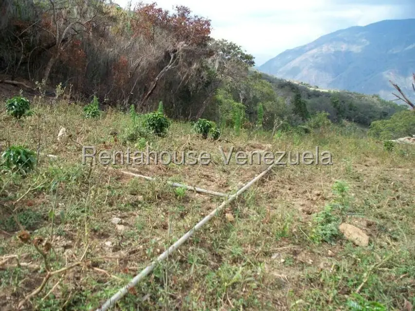Comercial (Industrial) en Venta en Via Bocono, Trujillo - 88