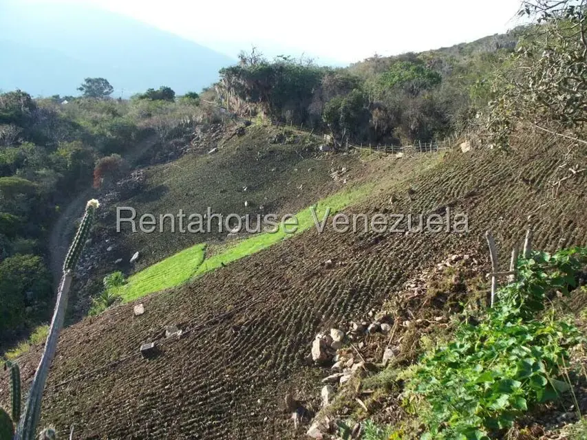 Comercial (Industrial) en Venta en Via Bocono, Trujillo - 89