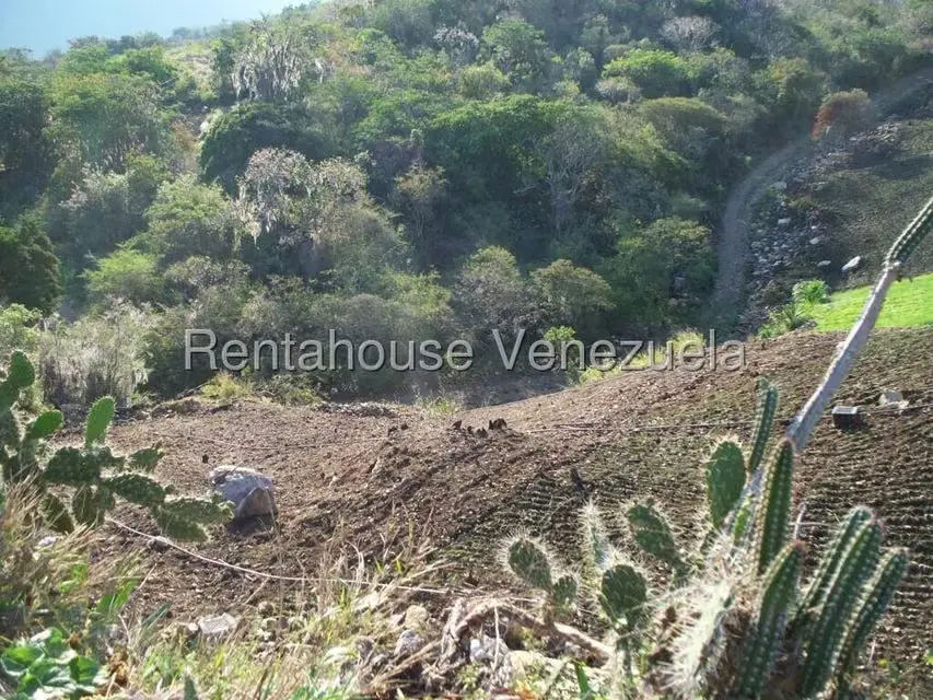 Comercial (Industrial) en Venta en Via Bocono, Trujillo - 90
