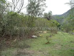 Vista 9