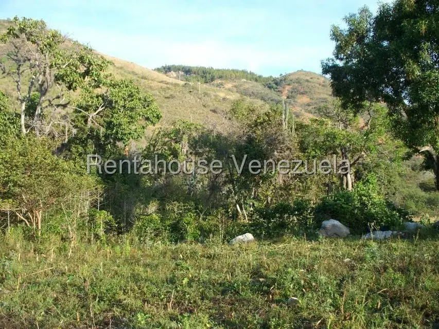 Comercial (Industrial) en Venta en Via Bocono, Trujillo - 94