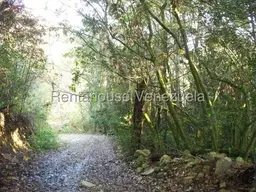Vista 98