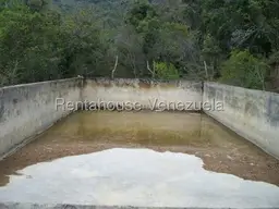 Vista 10