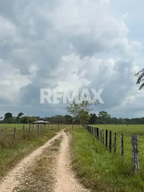 SE VENDE FINCA EN LA PEDRERA