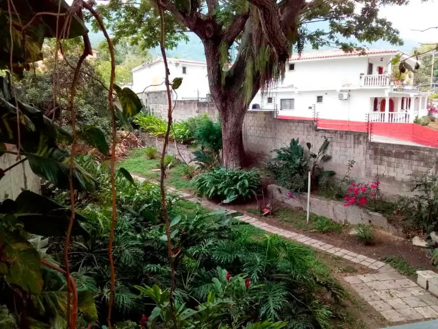 Casa (1 Nivel) en Venta en San Felipe, Yaracuy - 28
