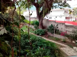 View 28