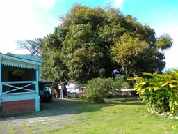 View 10