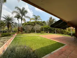 View 4