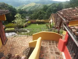 View 44