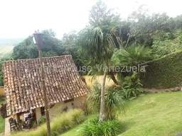 View 49