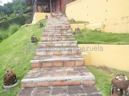 View 53