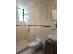 Vista 12