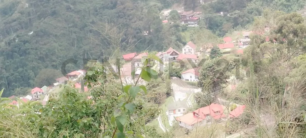 VENTA DE TERRENO LA COLONIA SECTOR LA BALLESTA