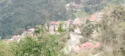 Vista 1