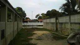Vista 5